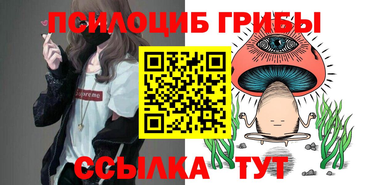 Псилоцибиновые грибы Psilocybine cubensis Лесной