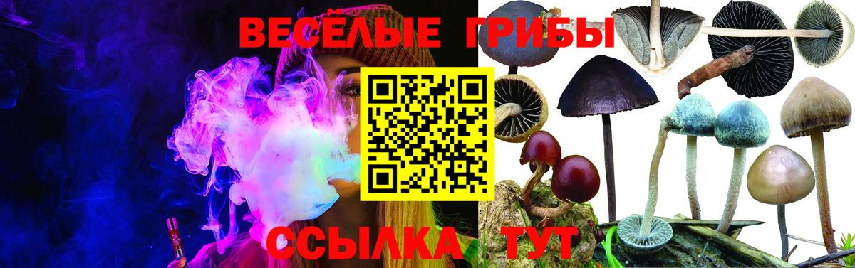 Лесной  Псилоцибиновые грибы мицелий  Вход с VPN  Галлюциногенные грибы Magic Shrooms 